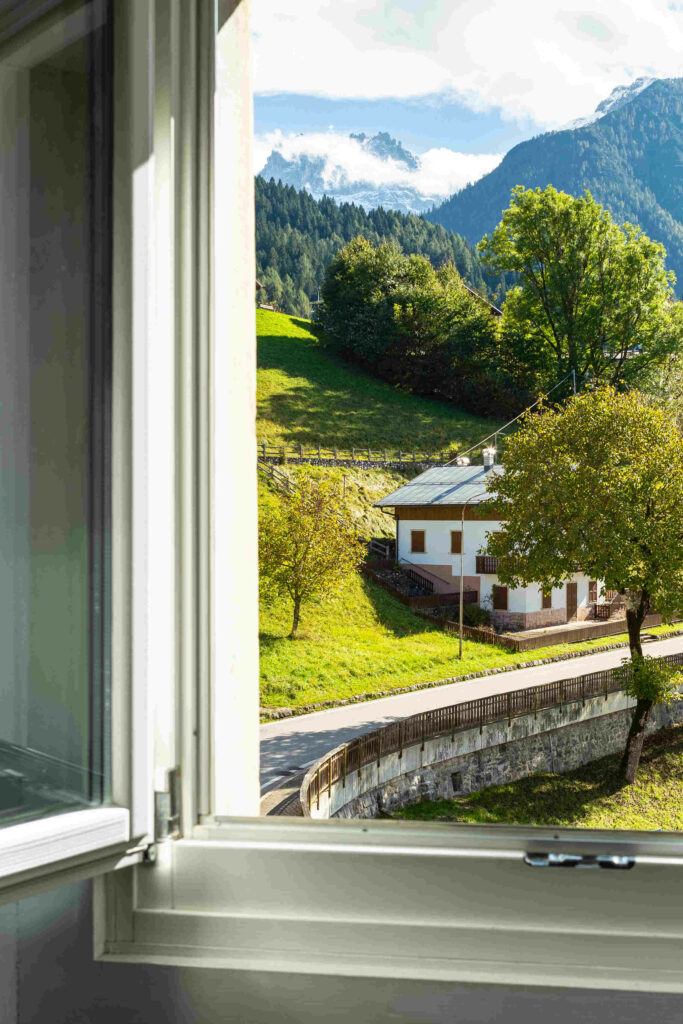 Mucca al pascolo in Cadore